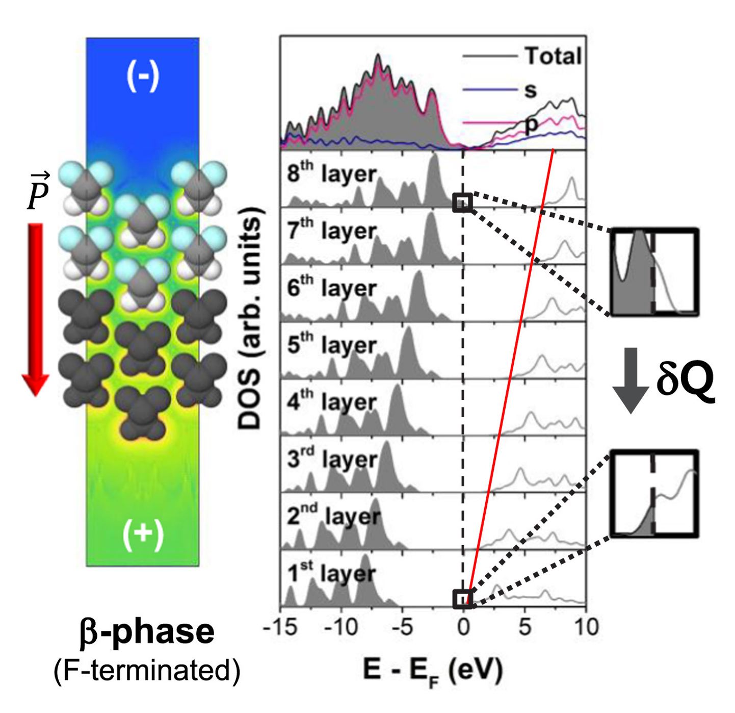Significance of ferroelectric polarization in poly vinylidene difluoride binder for high-rate Li-ion diffusion