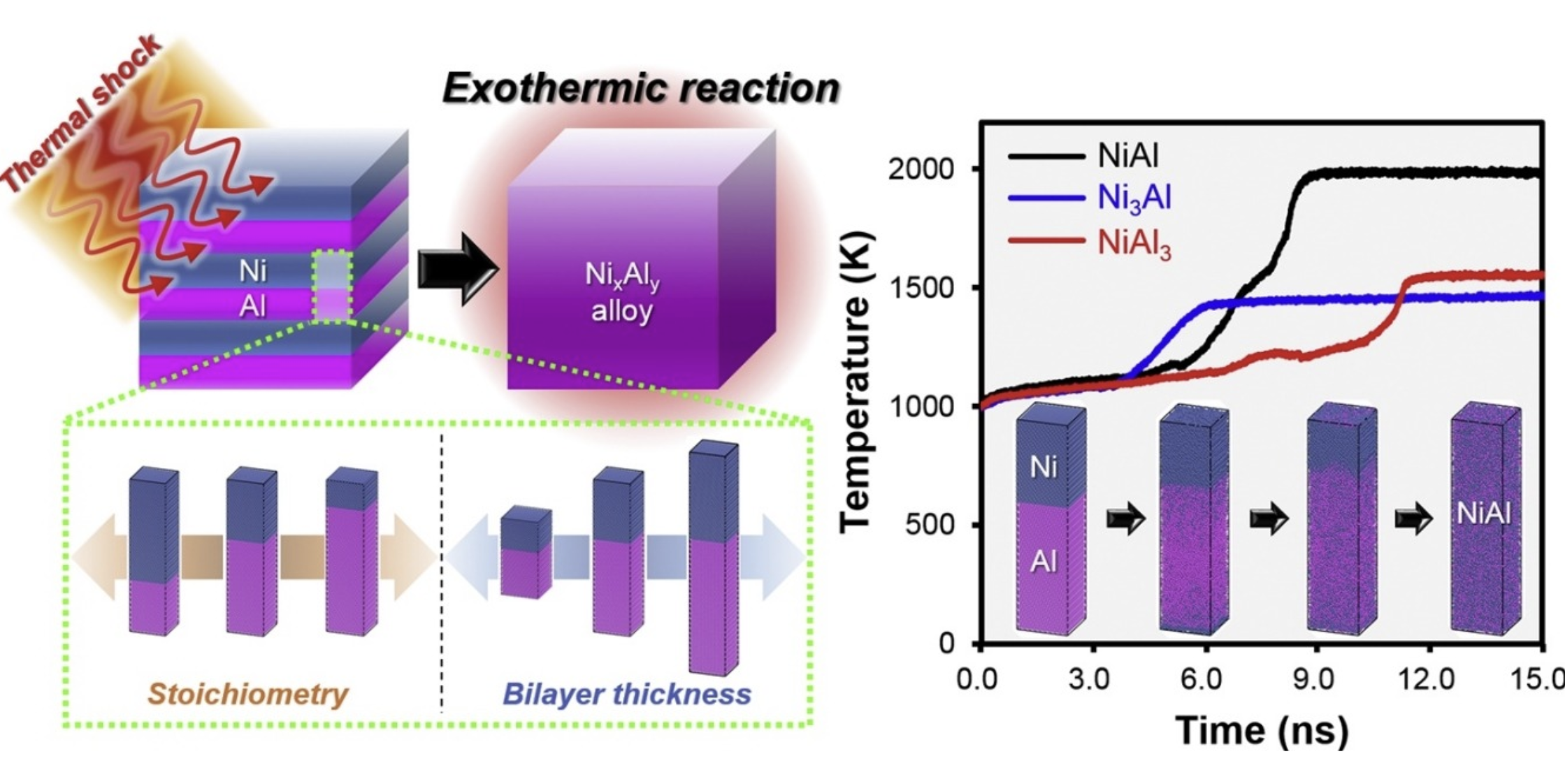 Reaction characteristics of Ni Al nanolayers by molecular dynamics simulation