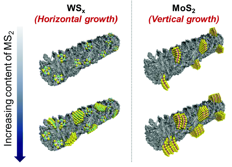 Preferential horizontal growth of tungsten sulfide on carbon and insight into active sulfur sites for the hydrogen evolution reaction