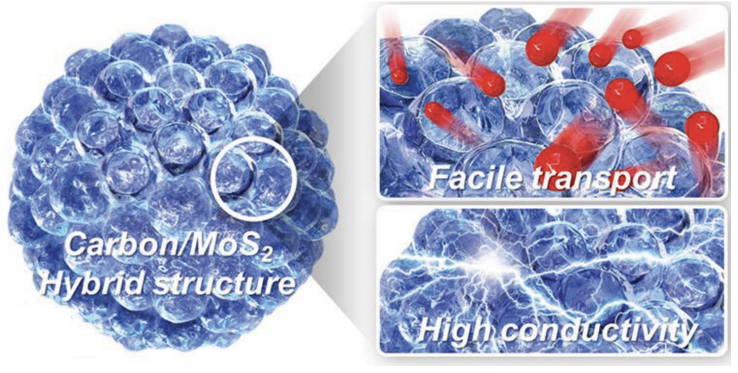 Edge Terminated MoS sub 2 sub Nanoassembled Electrocatalyst via In Situ Hybridization with 3D Carbon Network