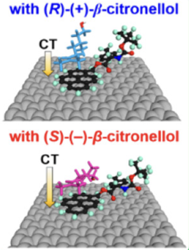Highly Enantioselective Graphene-Based Chemical Sensors Prepared by Chiral Noncovalent Functionalization