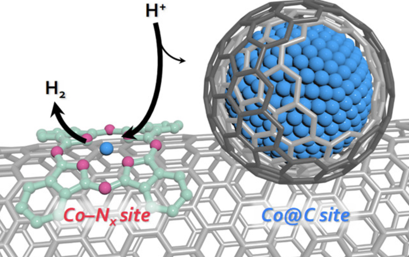 Heterogeneous Co N C Electrocatalysts with Controlled Cobalt Site Densities for the Hydrogen Evolution Reaction: Structure Activity Correlations and Kinetic Insights