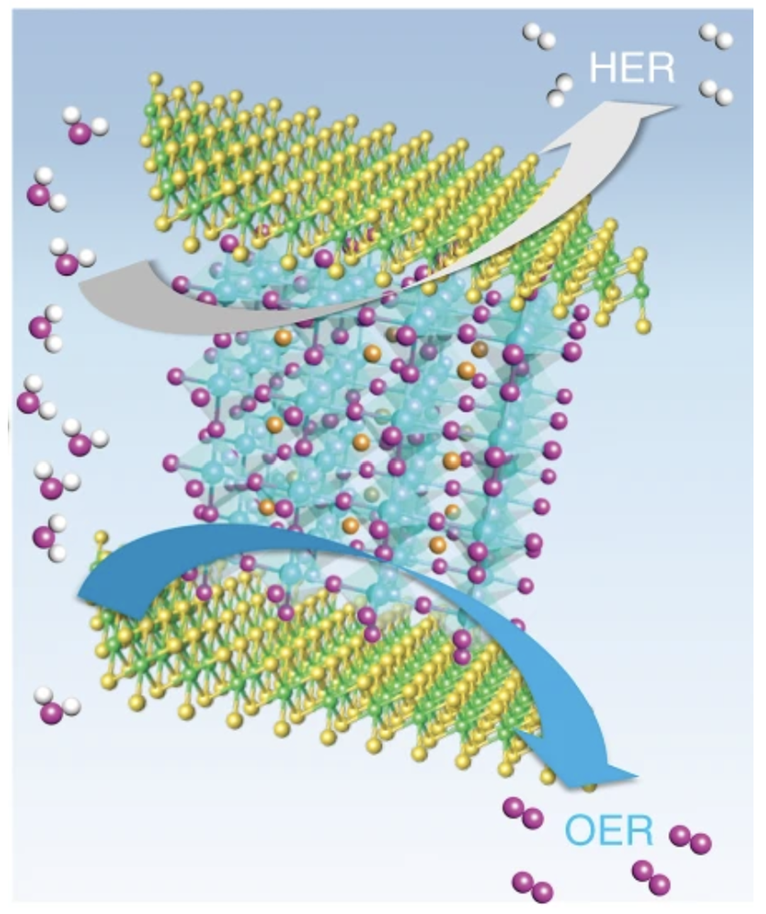In-situ local phase-transitioned MoSe2 in La0.5Sr0.5CoO3-δ heterostructure and stable overall water electrolysis over 1000 hours