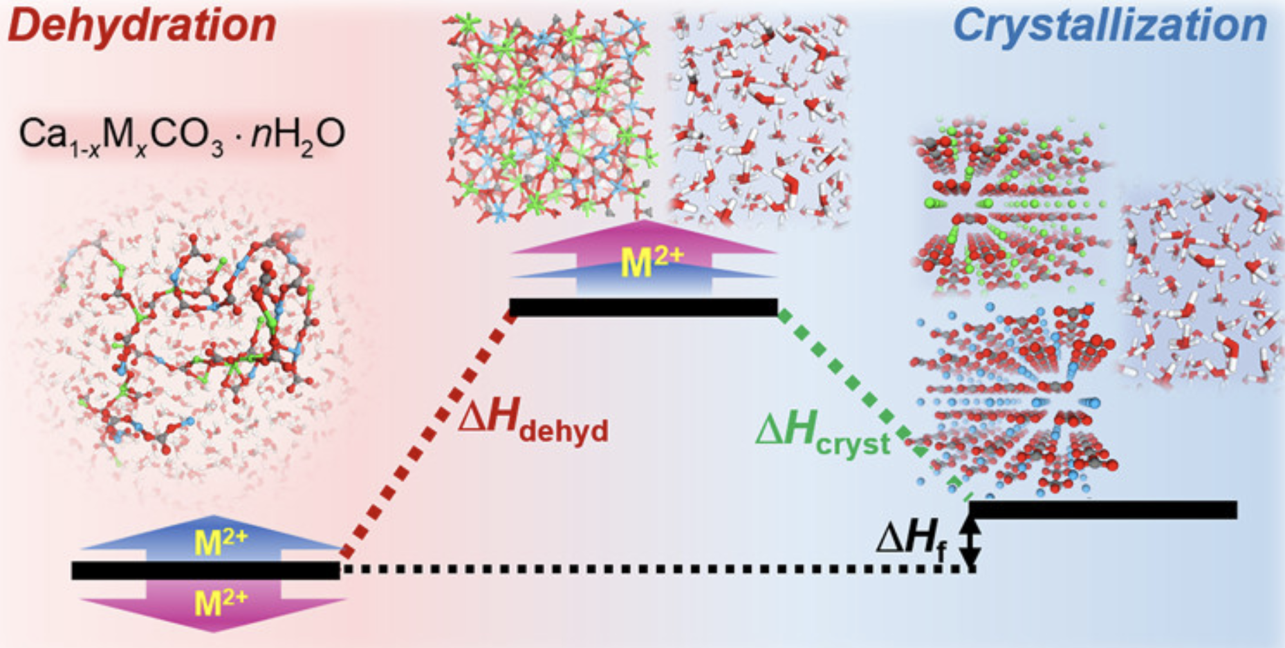 Thermodynamic Control of Amorphous Precursor Phases for Calcium Carbonate via Additive Ions
