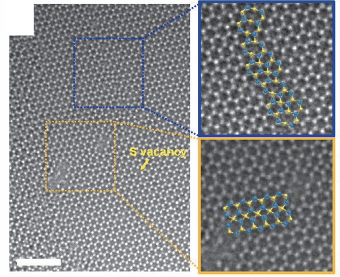 Antiphase Boundaries as Faceted Metallic Wires in 2D Transition Metal Dichalcogenides