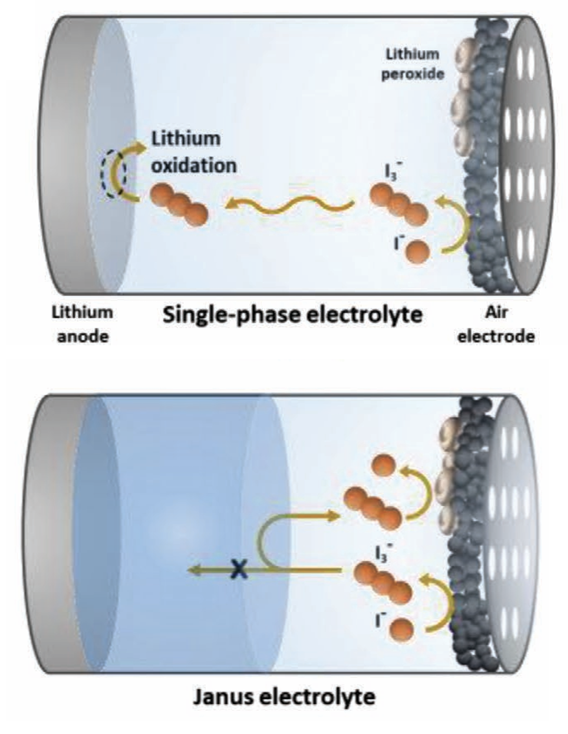 Liquid Based Janus Electrolyte for Sustainable Redox Mediation in Lithium Oxygen Batteries