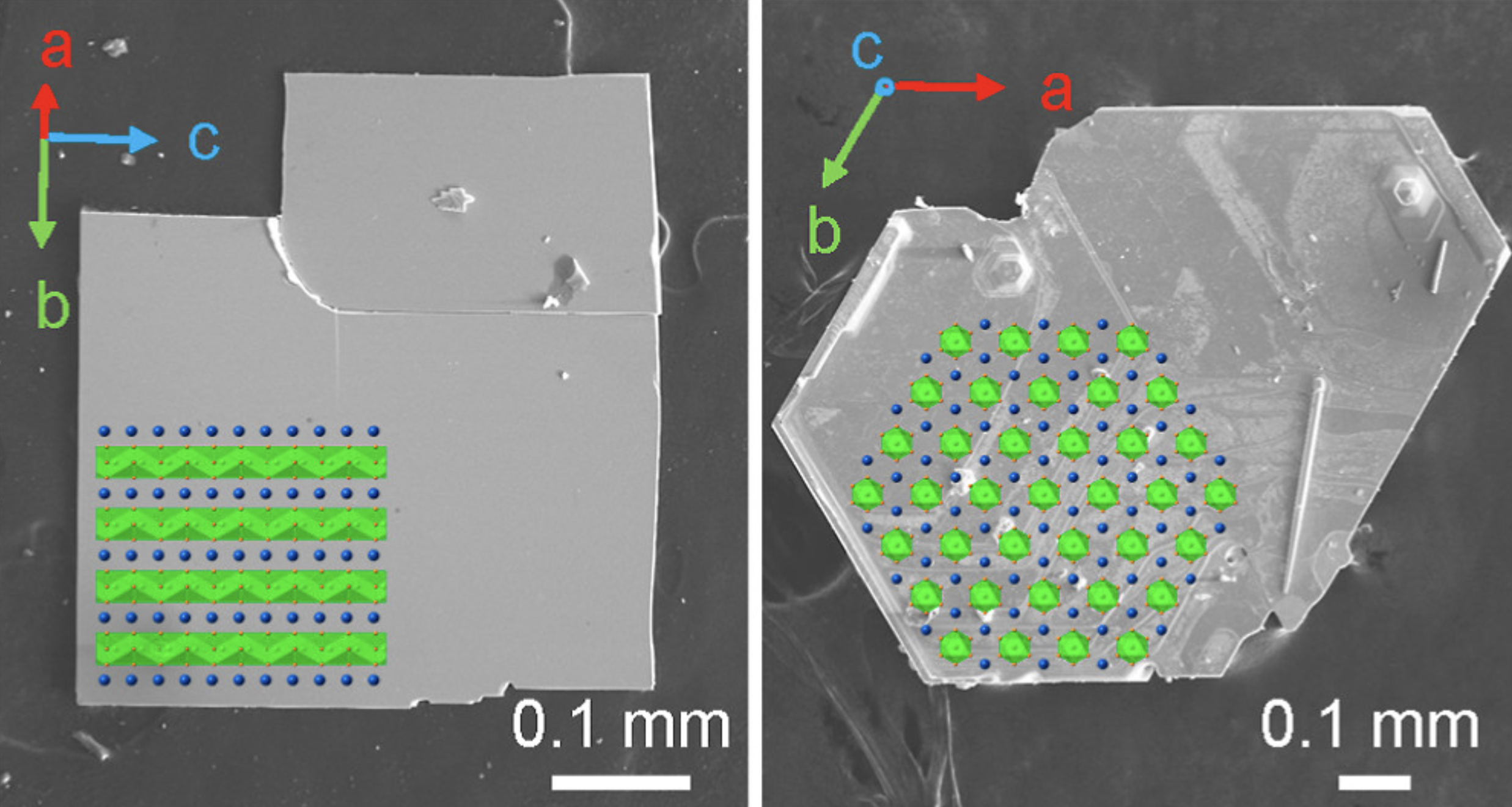 Orientation-Controlled Anisotropy in Single Crystals of Quasi-1D BaTiS sub 3 sub