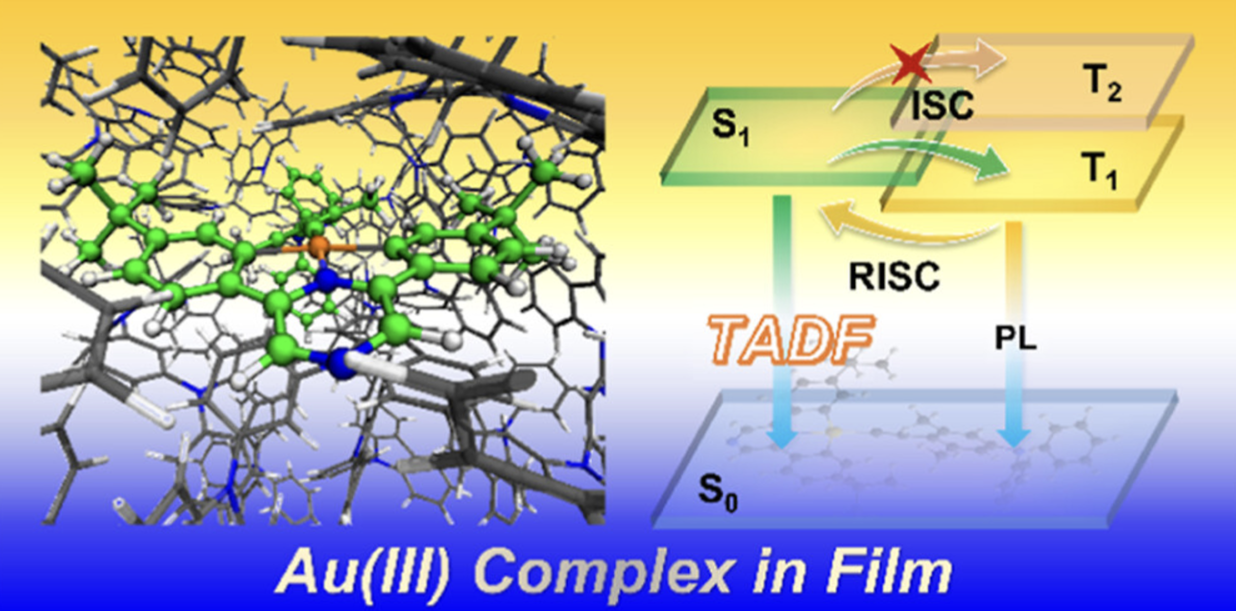 Theoretical Studies on Thermally Activated Delayed Fluorescence Mechanism of Au III Complexes in Films: Insights from Quantum Mechanics Molecular Mechanics Simulations