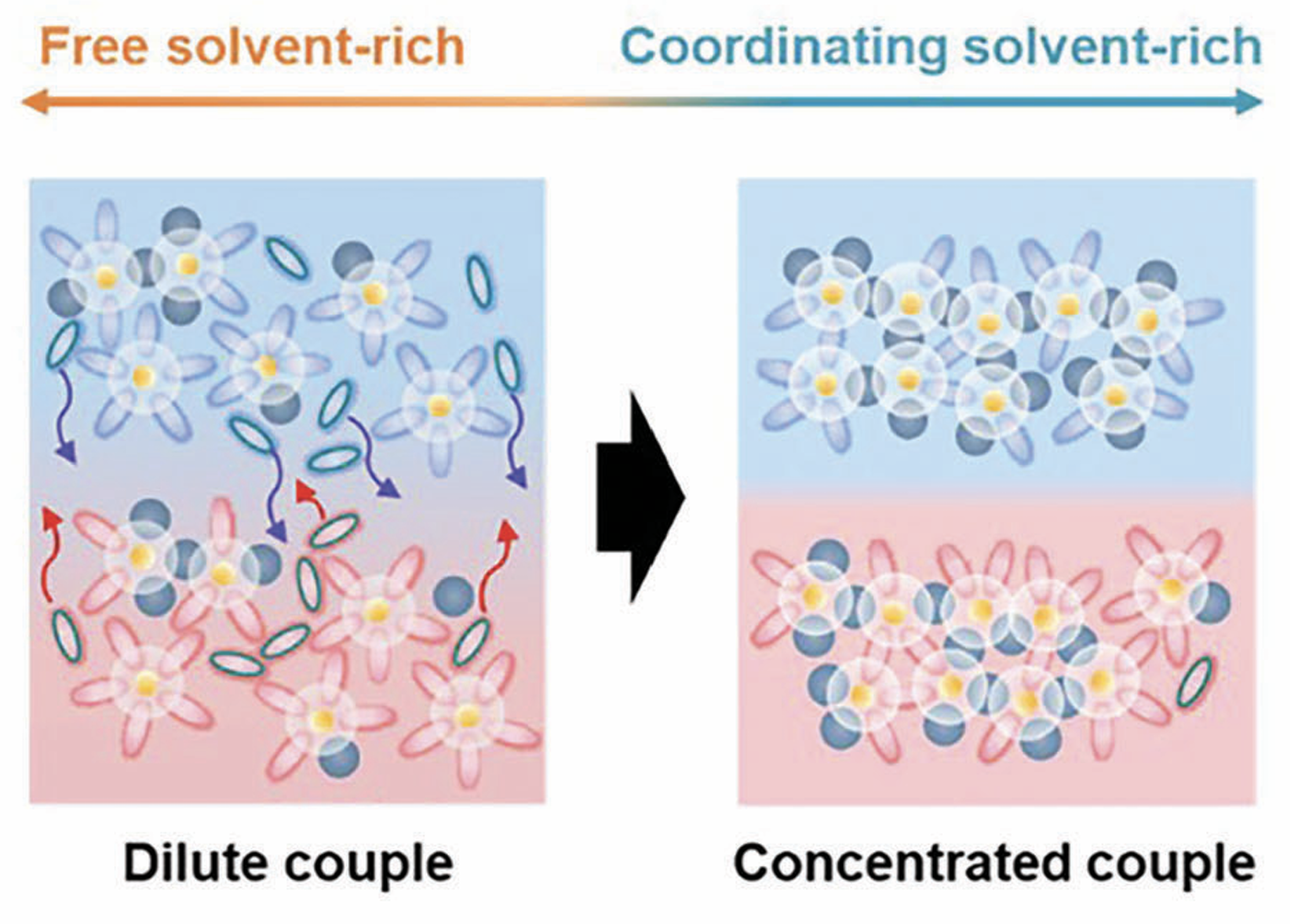 Starving Free Solvents: Toward Immiscible Binary Liquid Electrolytes for Li Metal Full Cells