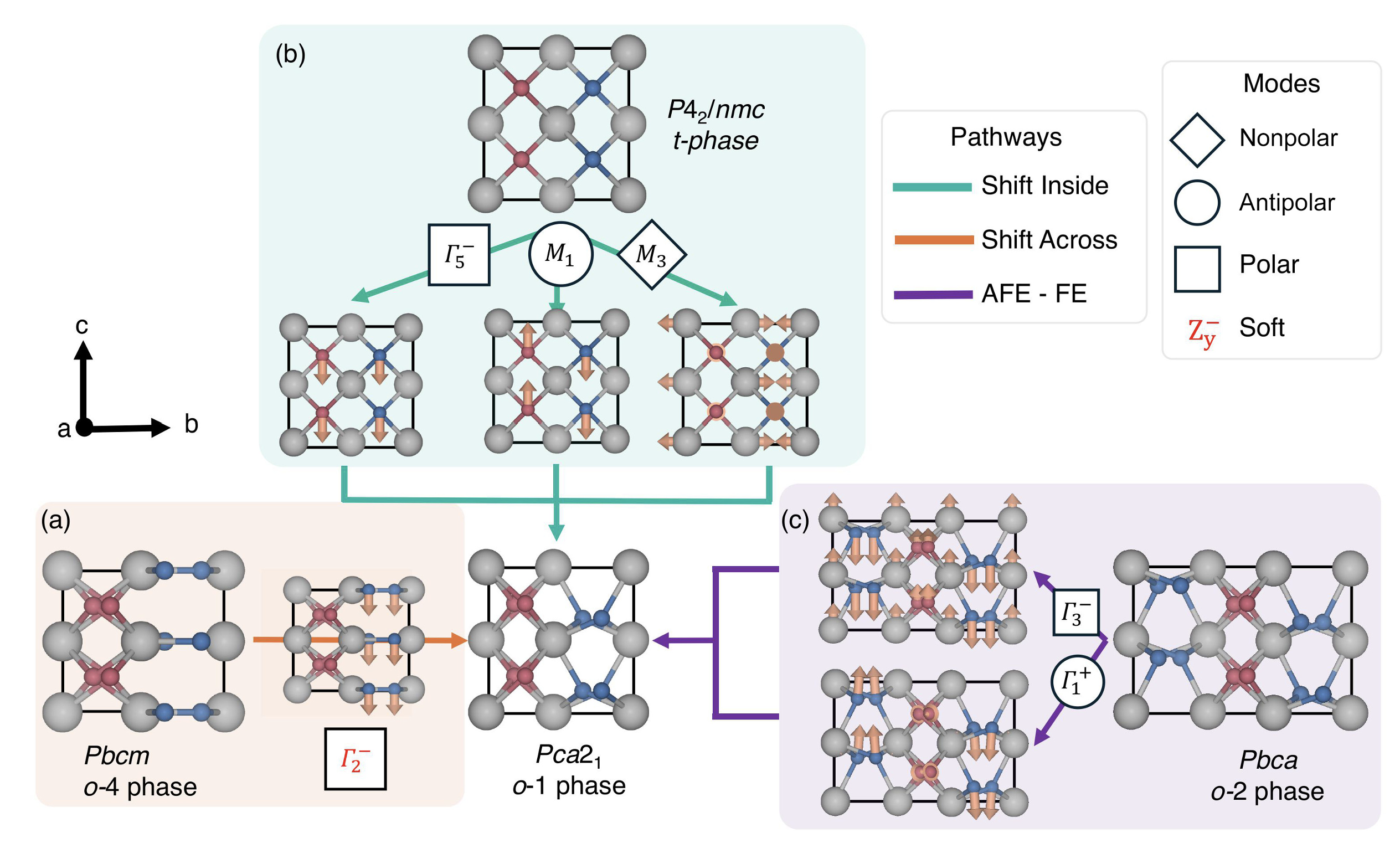 Hole-doping reduces the coercive field in ferroelectric hafnia